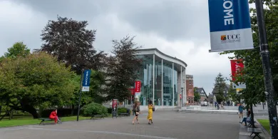 Studia w Irlandii – jak wybrać kierunek i uczelnię, które przekładają się na pracę?