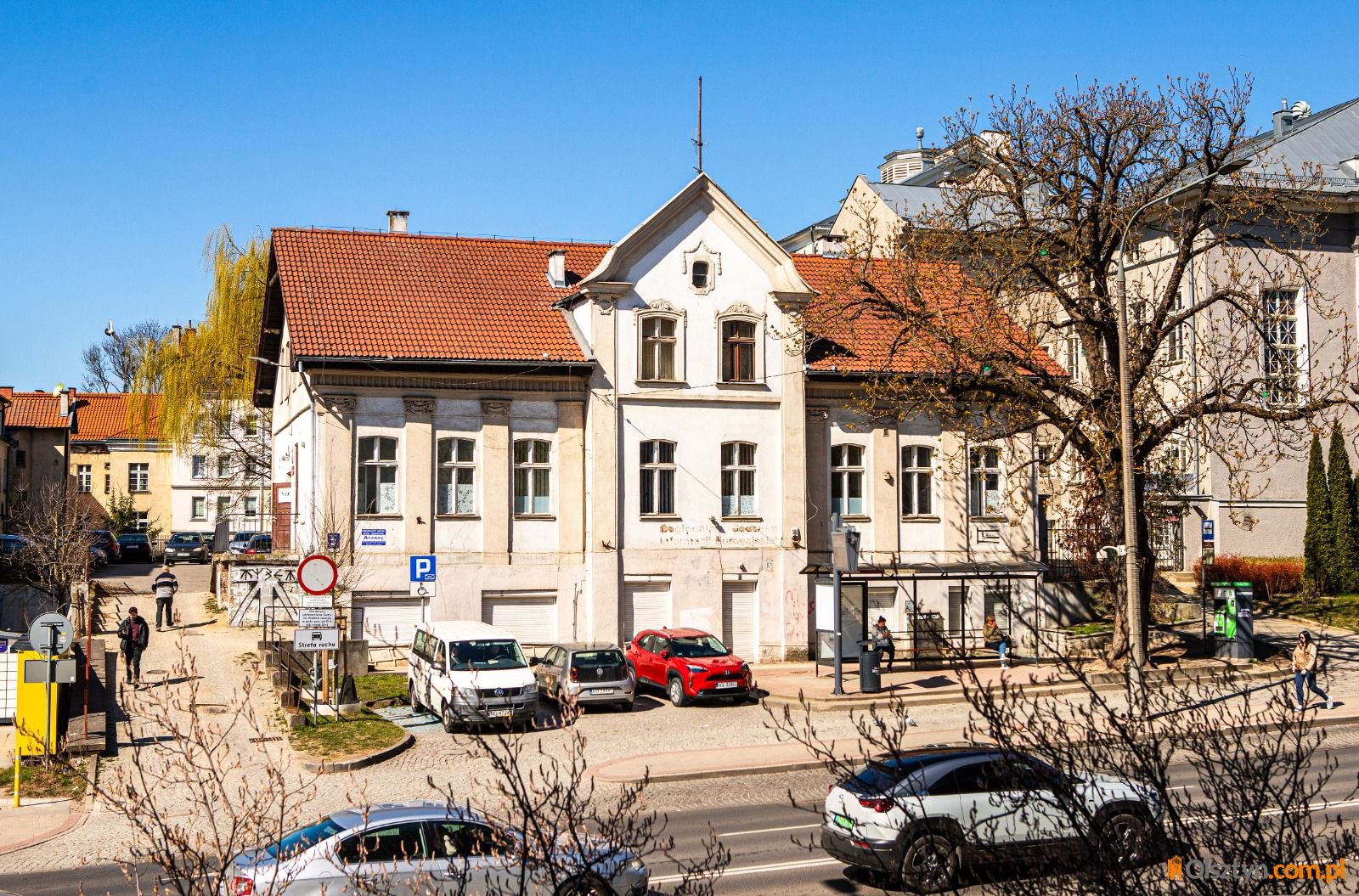 Stuletni kasztanowiec przy teatrze do wycinki. "W każdej chwili może runąć"