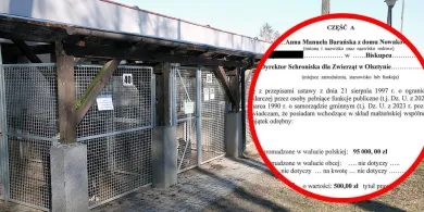 Olsztyn. Kontrowersje wokół oświadczenia majątkowego dyrektor schroniska dla zwierząt. Dom za 500 zł?