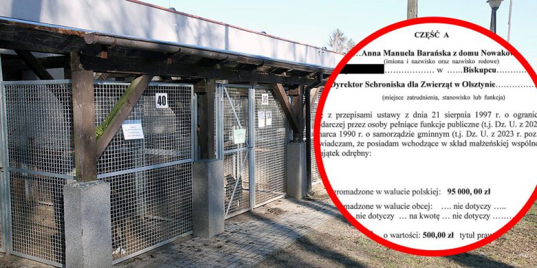 Artykuł: Olsztyn. Kontrowersje wokół oświadczenia majątkowego dyrektor schroniska dla zwierząt. Dom za 500 zł?
