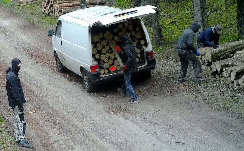 Kominiarki i akcja jak z filmu sensacyjnego. Nietypowa kradzież w lasach pod Ostródą