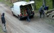 Drewno na wagę złota? Nietypowa kradzież w Nadleśnictwie Stare Jabłonki