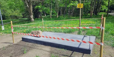 W centrum Olsztyna stanie rzeźba jelenia. Monument ma przyciągać turystów. Trafiona atrakcja? [AKTUALIZACJA]