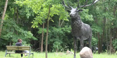 W centrum Olsztyna stanęła rzeźba jelenia. Monument ma przyciągać turystów. Trafiona atrakcja? [ZDJĘCIA, WIDEO]