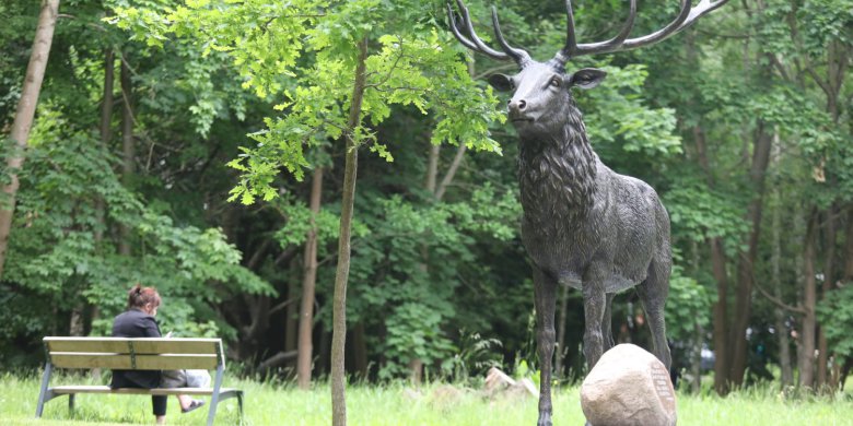 W centrum Olsztyna stanęła rzeźba jelenia. Monument ma przyciągać turystów. Trafiona atrakcja? [ZDJĘCIA, WIDEO]
