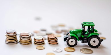 Artykuł: Niemal co trzecie gospodarstwo rolne w Polsce doświadcza realnych problemów finansowych [BADANIE]
