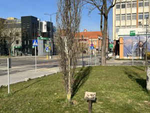 Miejsce protestów i pamięci. Tak powstał Plac Solidarności w Olsztynie