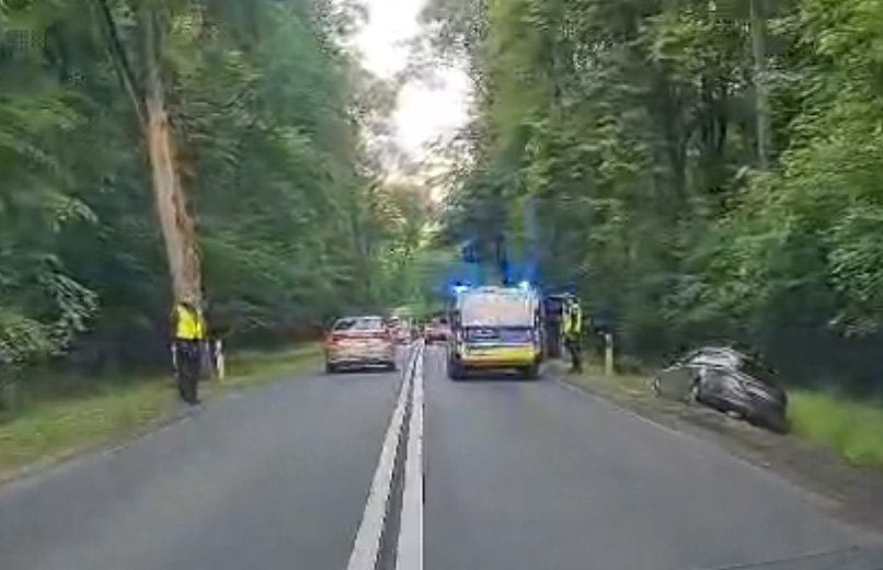 Trzeźwy kierowca wjechał do rowu na al. Wojska Polskiego. Wiemy, jak się tłumaczył [WIDEO]