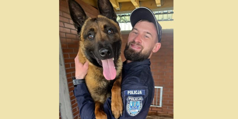 Artykuł: Olsztyński tropiciel na czterech łapach. Owczarek Loki doprowadził policjantów do włamywacza z Działdowa