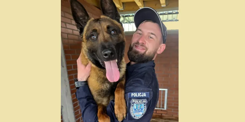 Olsztyński tropiciel na czterech łapach. Owczarek Loki doprowadził policjantów do włamywacza z Działdowa