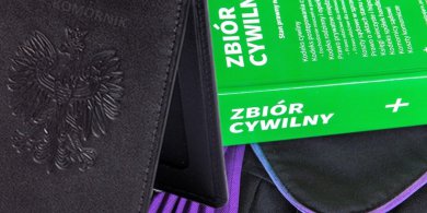 Artykuł: Skargi na komorników najczęściej dotyczą czynności egzekucyjnych i przewlekłości postępowań