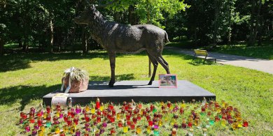 Artykuł: Farba, znicze i zdjęcie zabitych zwierząt. Protest wokół rzeźby jelenia w parku centralnym przybiera na sile