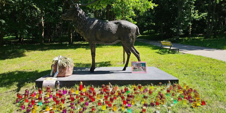 Artykuł: Farba, znicze i zdjęcie zabitych zwierząt. Protest wokół rzeźby jelenia w parku centralnym przybiera na sile