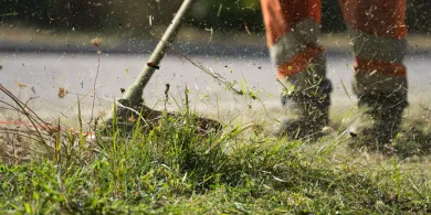 Ponad 5,5 mln zł na koszenie miejskich terenów. Olsztyn rozpoczyna sezon