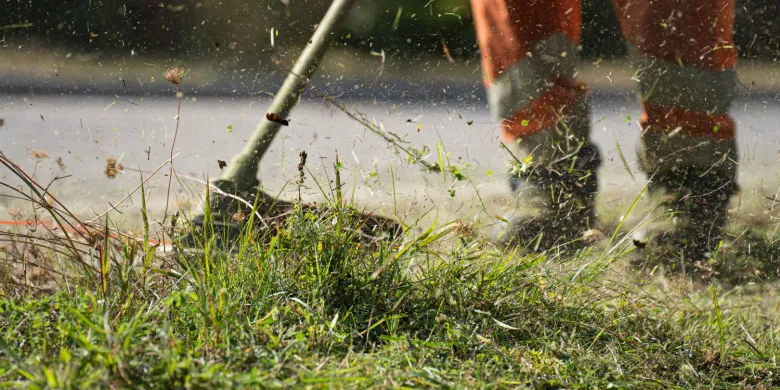 Ponad 5,5 mln zł na koszenie miejskich terenów. Olsztyn rozpoczyna sezon