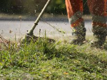 Ponad 5,5 mln zł na koszenie miejskich terenów. Olsztyn rozpoczyna sezon