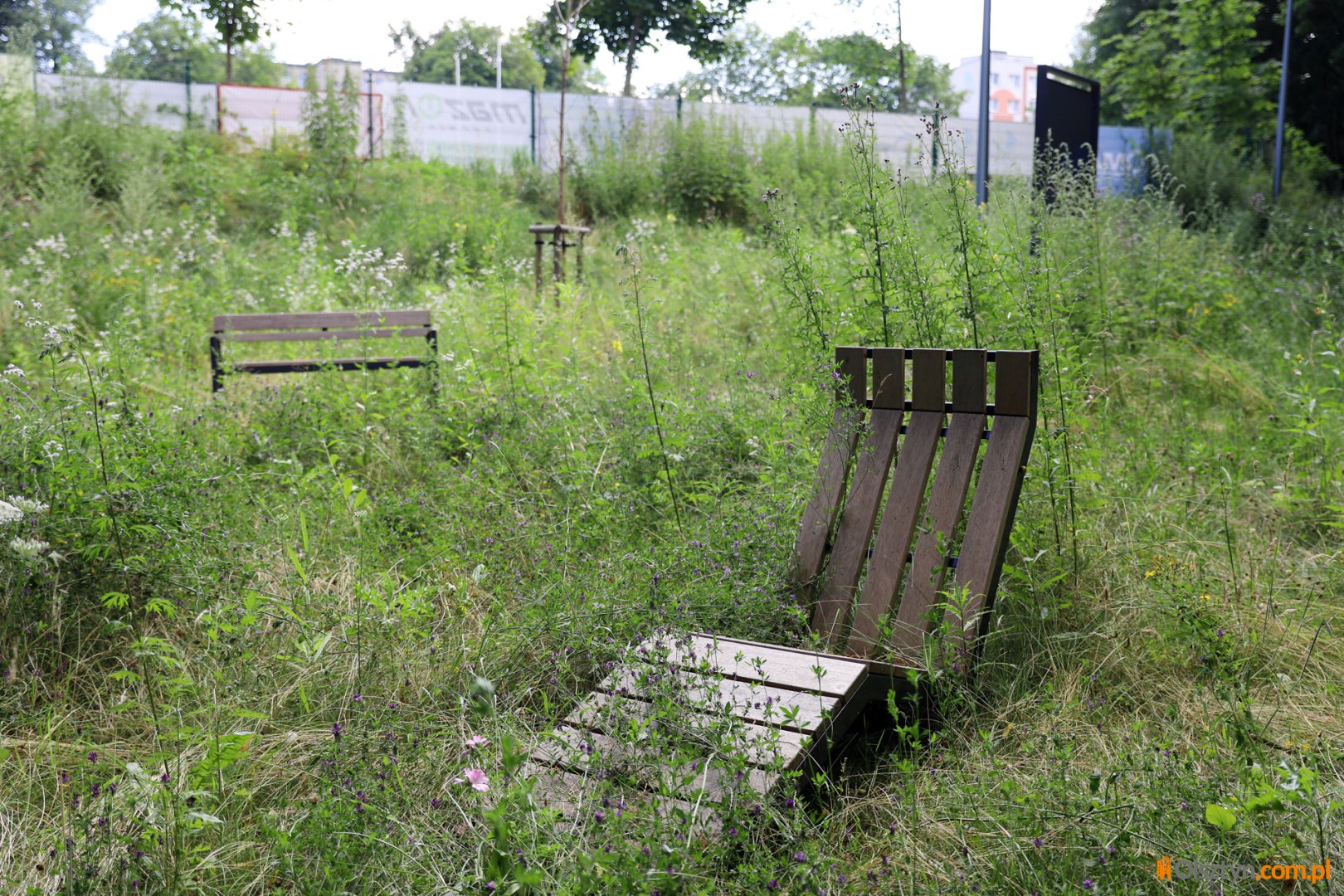 Miał być wizytówką nad Łyną. Dziś ekotaras za ponad milion złotych zarasta chwastami [ZDJĘCIA]