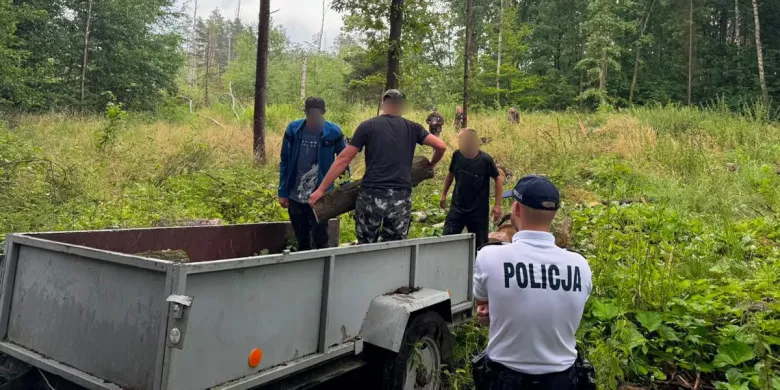 Gmina Barczewo. "Darmowe" drewno z lasu? Trzech mężczyzn przekonało się, że to zły pomysł