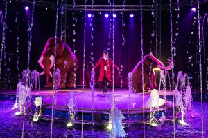 Do Olsztyna przyjeżdża niezwykłe widowisko – cyrk na wodzie Imperial Show!