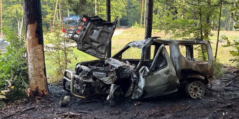 Tragiczny poranek pod Miłomłynem. Kierowca uderzył w drzewo, auto stanęło w płomieniach. Nie żyje 36-latek [ZDJĘCIA]