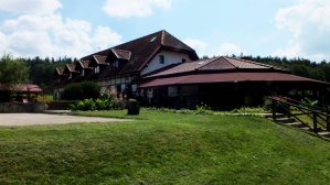 Glamping na Warmii i Mazurach. Ile zapłacisz za luksusowy, gwiazdorski kemping?