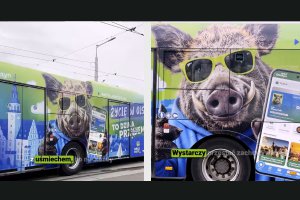 Dziki Autobus - kolejny element promocji Olsztyna