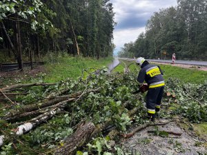 280 interwencji w regionie po przejściu burz. Grad wielkości jabłek i dramat na jeziorze