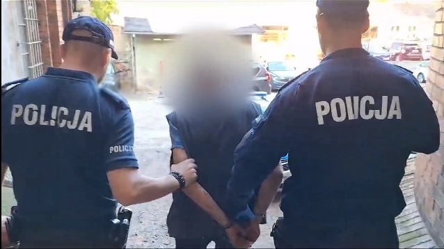 Gmina Jeziorany. Postrzelił własnego psa z wiatrówki? Suczka nie przeżyła. 32-latek usłyszał zarzuty