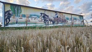 Gmina Pieniężno: Rolnik nie chciał nudnego budynku gospodarczego. Zamiast tego powstało prawdziwe dzieło [ZDJĘCIA]