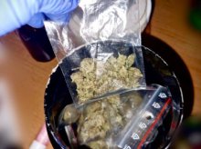 Olsztyński pies na tropie narkotyków. W mieszkaniu 32-latka znaleziono amfetaminę i marihuanę