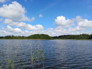 Warmia i Mazury z 16 nowymi rezerwatami. Chronią torfowiska, lasy i jeziora
