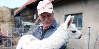 Artykuł: Gmina Barczewo. W Nikielkowie zobaczysz m.in. kangurzycę albinoskę [ZDJĘCIA]