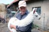 Henryk Prokopowicz, właściciel mini zoo w Nikielkowie
