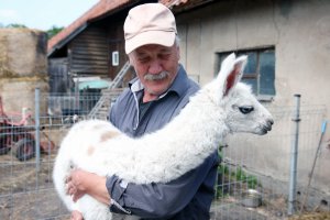Henryk Prokopowicz, właściciel mini zoo w Nikielkowie