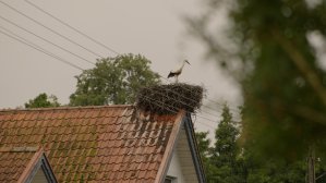 (muszę dokończyć) Kontrowersyjna inwestycja w Rucianem-Nidzie
