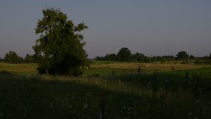 (muszę dokończyć) Kontrowersyjna inwestycja w Rucianem-Nidzie