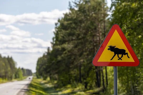 Niebezpieczny weekend na drogach powiatu olsztyńskiego. Trzy osoby ranne i zderzenia z... łosiem