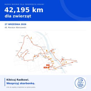 Ponad 42 km dla zwierząt. Radek z Olsztyna pobiegnie w Maratonie Warszawskim, by zapełnić ich miski