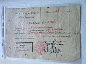 „Festyn w sercu Niedźwiedzia”. Wspomnienia, historia i walka o wiekowe dęby