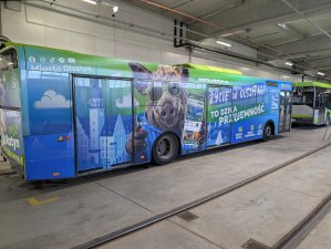 Dzikobus wyruszył na ulice Olsztyna. Jego zadanie to promocja komunikacji miejskiej
