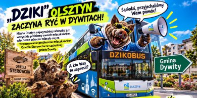 Artykuł: „Dziki” Olsztyn zaczyna ryć w Dywitach!
