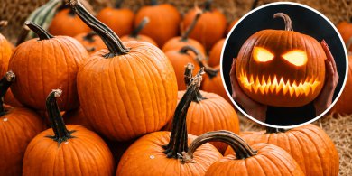 Artykuł: Dynia – symbol jesieni i Halloween. Skąd wzięła się tradycja upiornych lampionów?