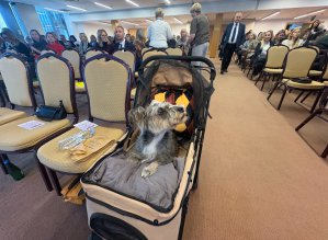 Neuroróżnorodność w szkole i pracy. Ruszył XVI Warmińsko-Mazurski Tydzień Kariery