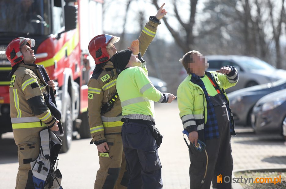 Kontrterroryści i ewakuacja mieszkańców. Tragiczne odkrycie w jednym z bloków na Pieczewie