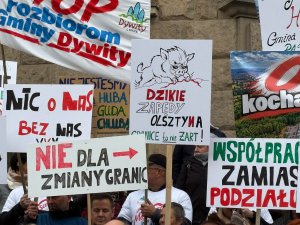 Gorąco przed olsztyńskim ratuszem. Mieszkańcy gmin sąsiednich nie są "hubami na drzewie"