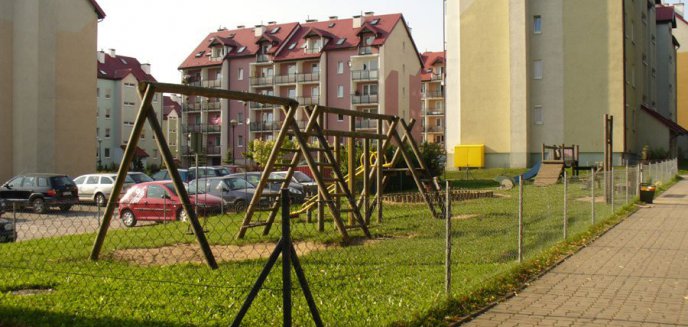 Pasożyty w piaskownicach