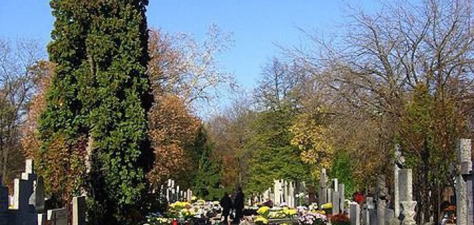 Uwaga kierowcy! Zmiana organizacji ruchu w Święto Zmarłych