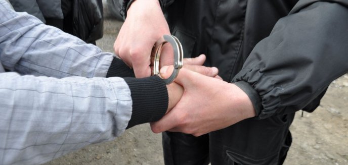 Artykuł: Przemytnicy i skorumpowani celnicy w rękach policji