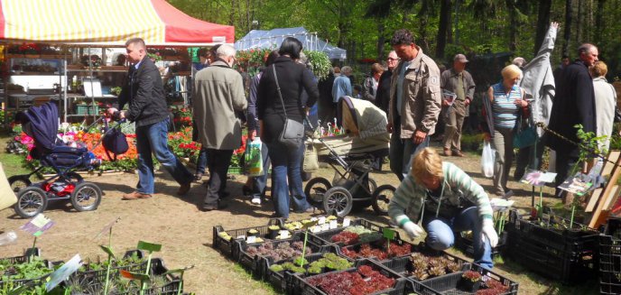 III Wiosenne Targi Ogrodnicze