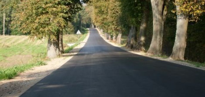 Schetynówki gotowe!